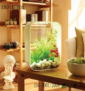 Gwerthu Gorau Custom Clear Acrylig Cylinder Aquarium